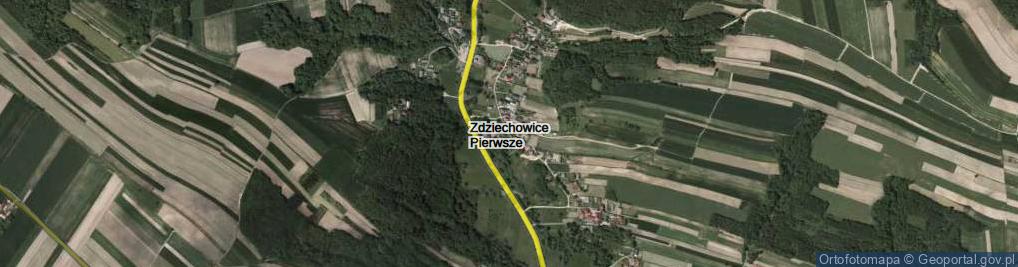 Zdjęcie satelitarne Zdziechowice Pierwsze ul.